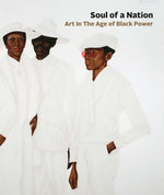 soul of a nation
