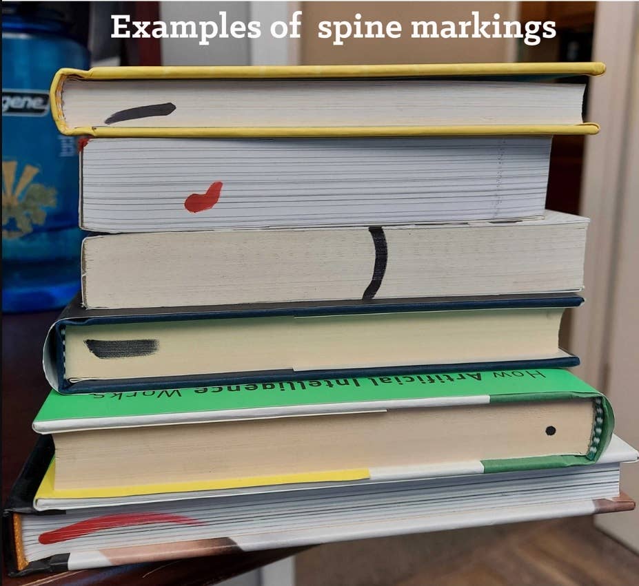 i'm still here: black dignity in a world made for whiteness