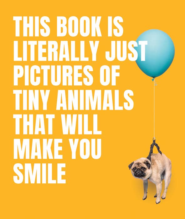 this book is literally just pictures of tiny animals that will make you smile