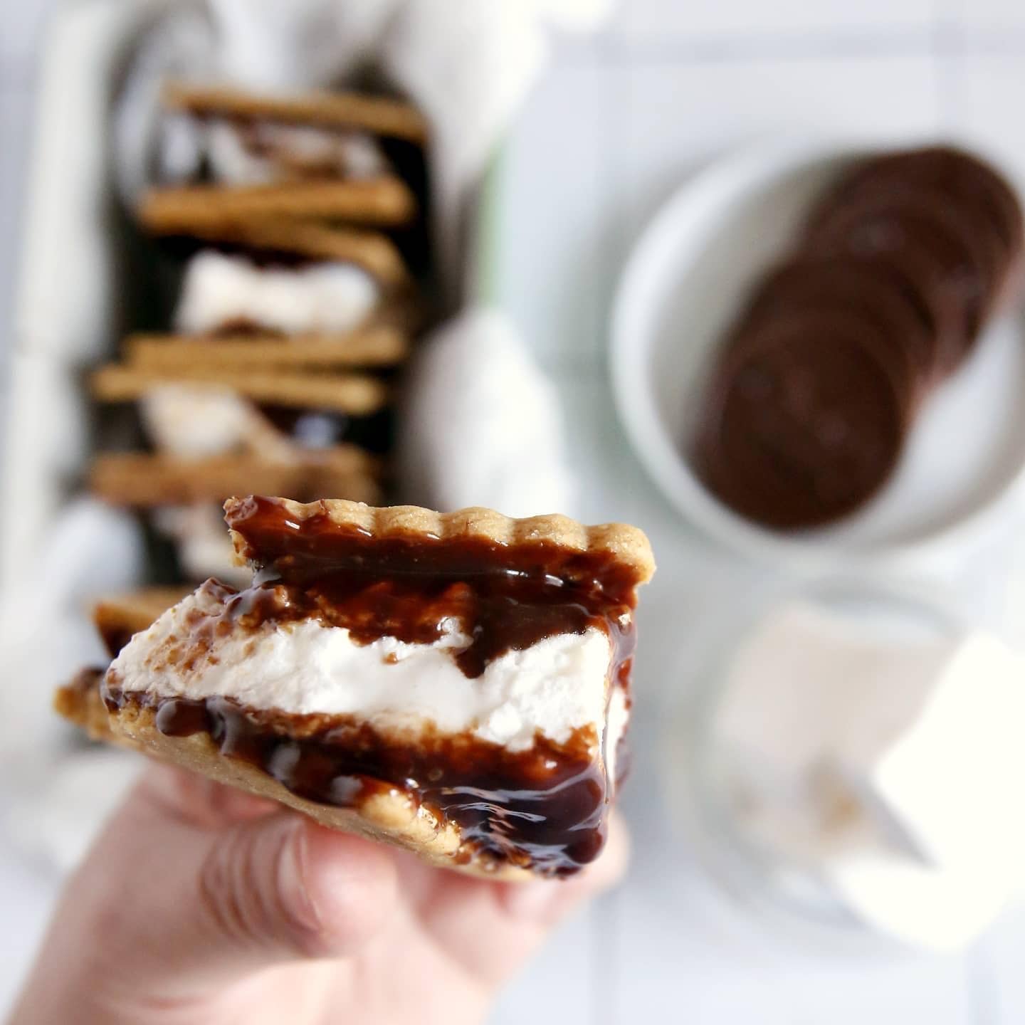 Vanilla Marshmallow(Large Bag)(12 Count): 12 Ct