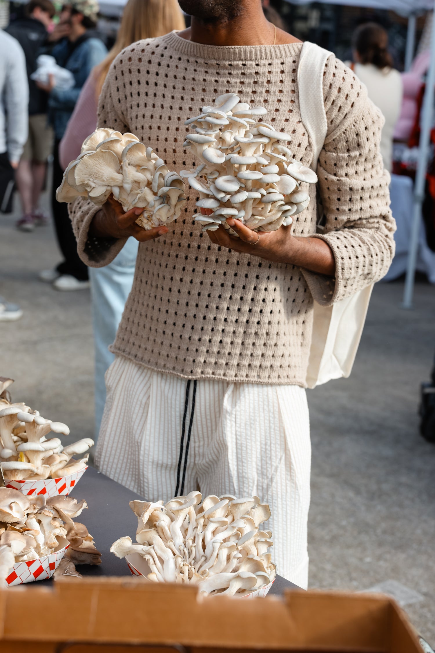 astro oatmeal sweater
