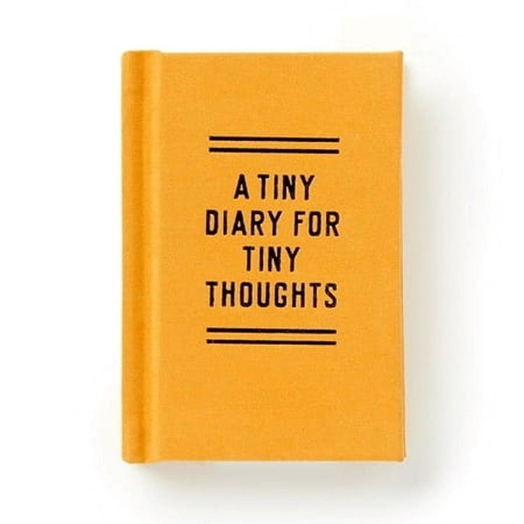 Tiny Diary Tiny Thoughts