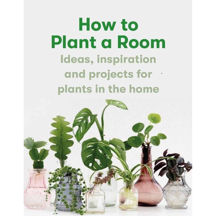 How to plant a room