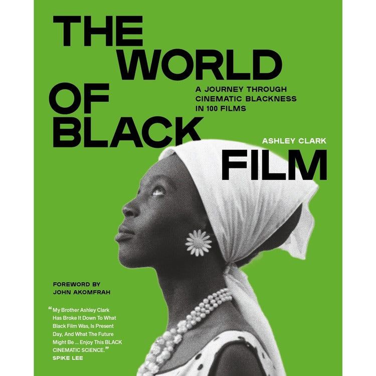 The World of Black Film