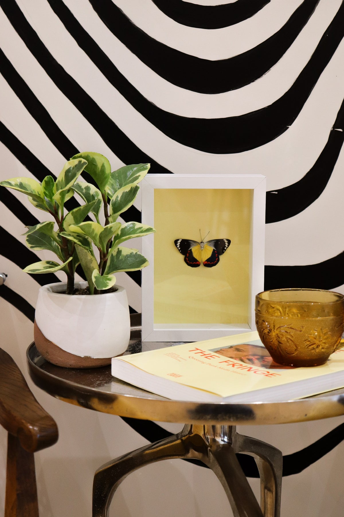 a yellow and black butterfly framed in a white frame with lemon backing sits on an occassional table