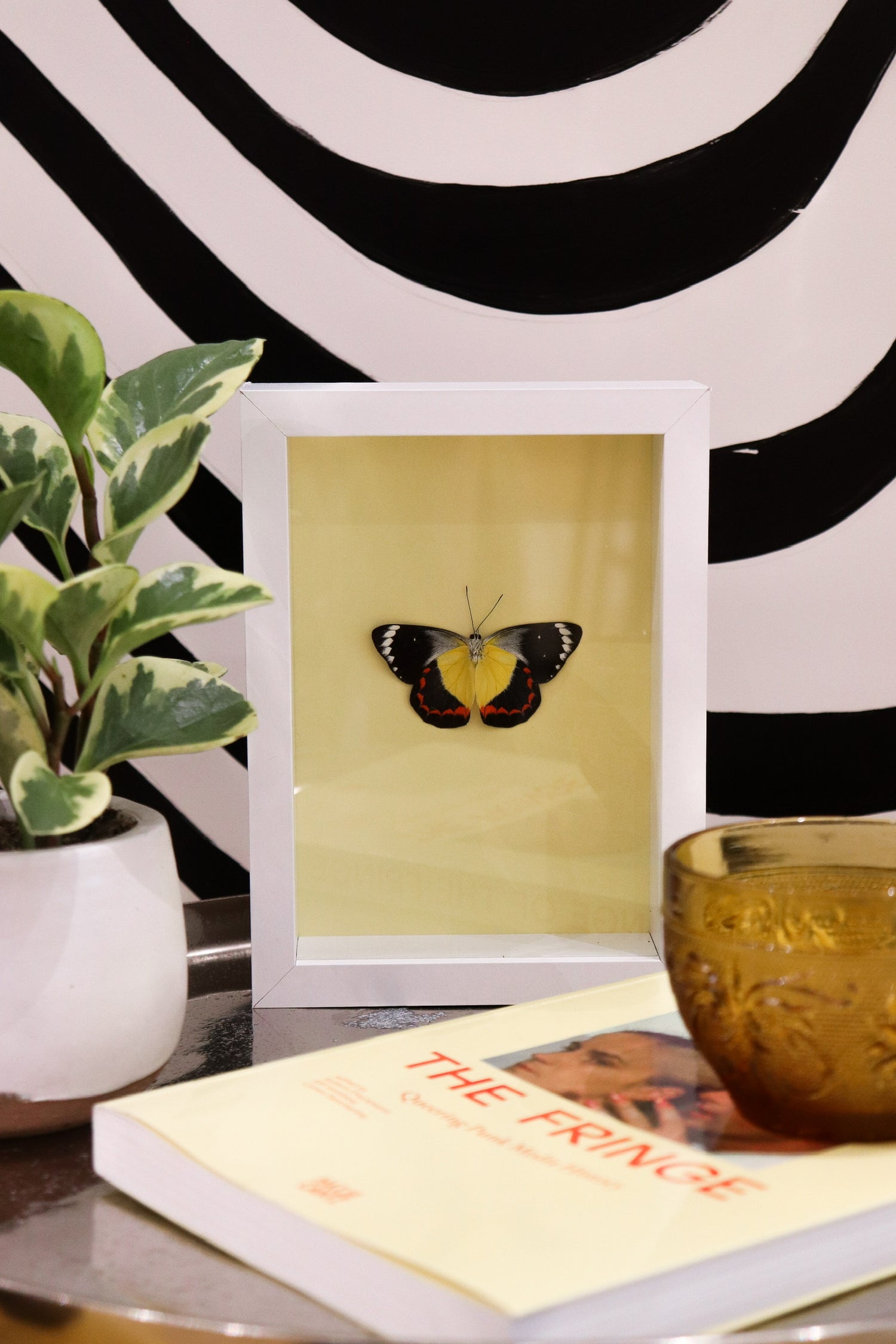 a yellow and black butterfly framed in a white frame with lemon backing sits on an occassional table